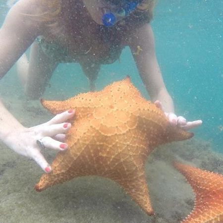 Kitnet Aconchegante A 200M Da Praia Apartamento Angra dos Reis Exterior foto